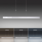 LED Hanglamp - 100.535.03 E-Slide - Paul Neuhaus