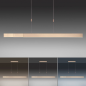 LED Hanglamp - 100.535.02 E-Slide - Paul Neuhaus