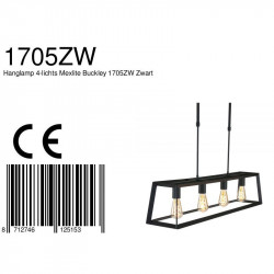 CE - Details - Hanglamp - 1705ZW Buckley - Steinhauer